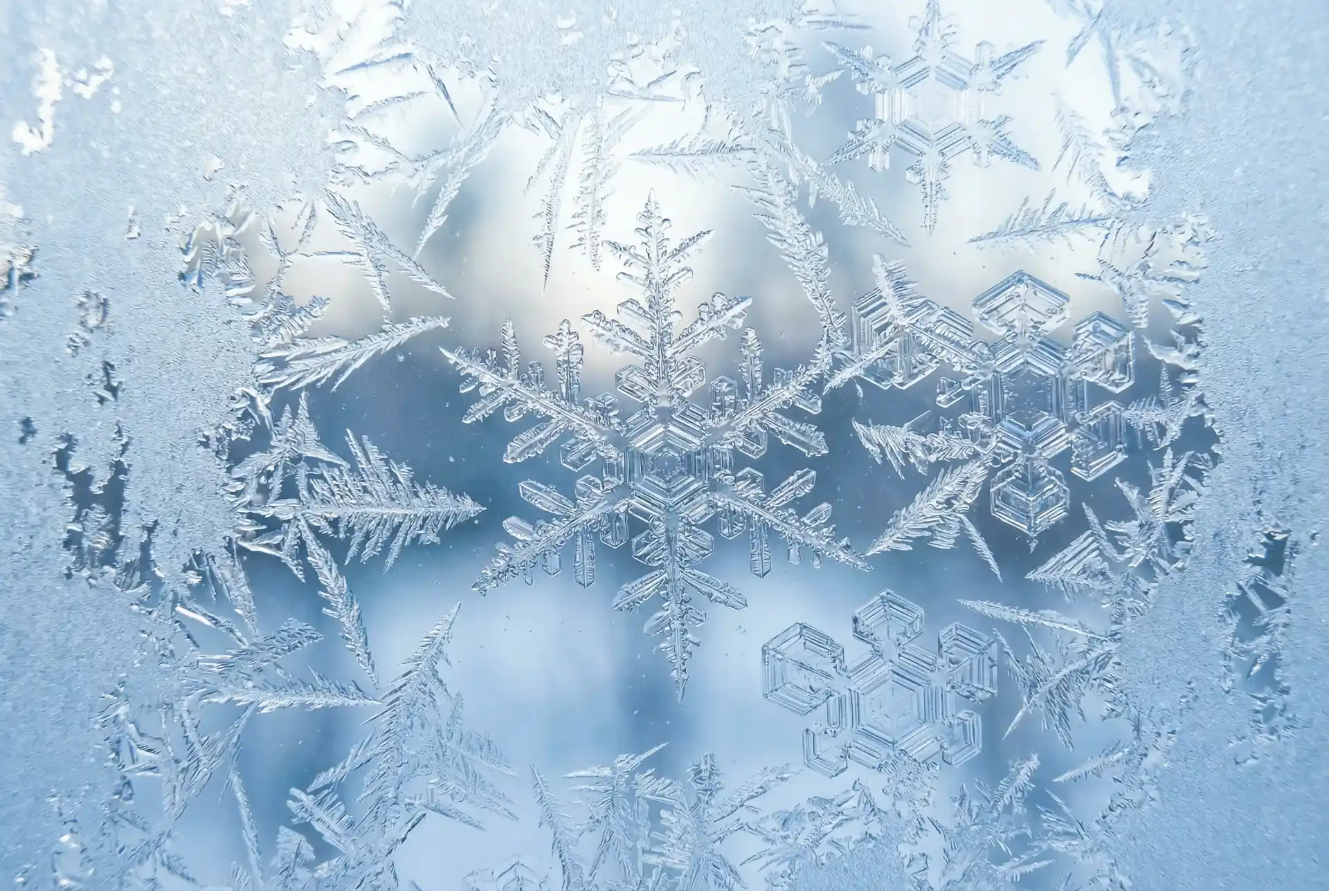 冰晶结构象征pc28数据精密分析